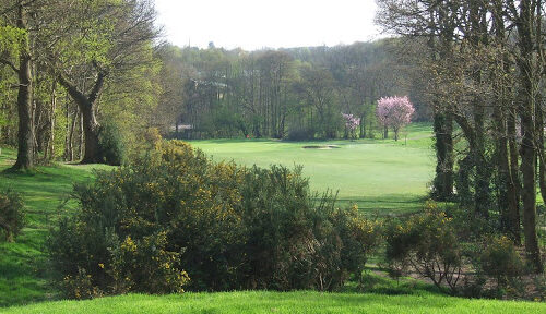 ashford golf club 13th